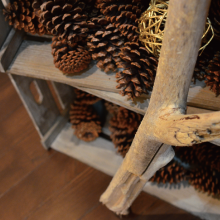 眺めのいいカフェ「あいはなカフェ」のシフォンケーキ